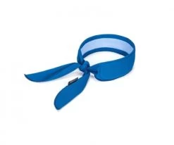 Portwest® CV05 Cooling Scarf - Blue